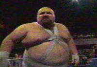 wwf bastion booger